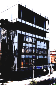 sedemutual.gif (21570 bytes)
