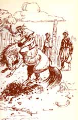tradi16.jpg (18455 bytes)